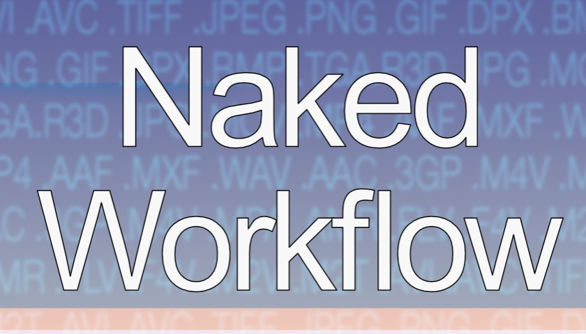 Naked Workflow Accuskills